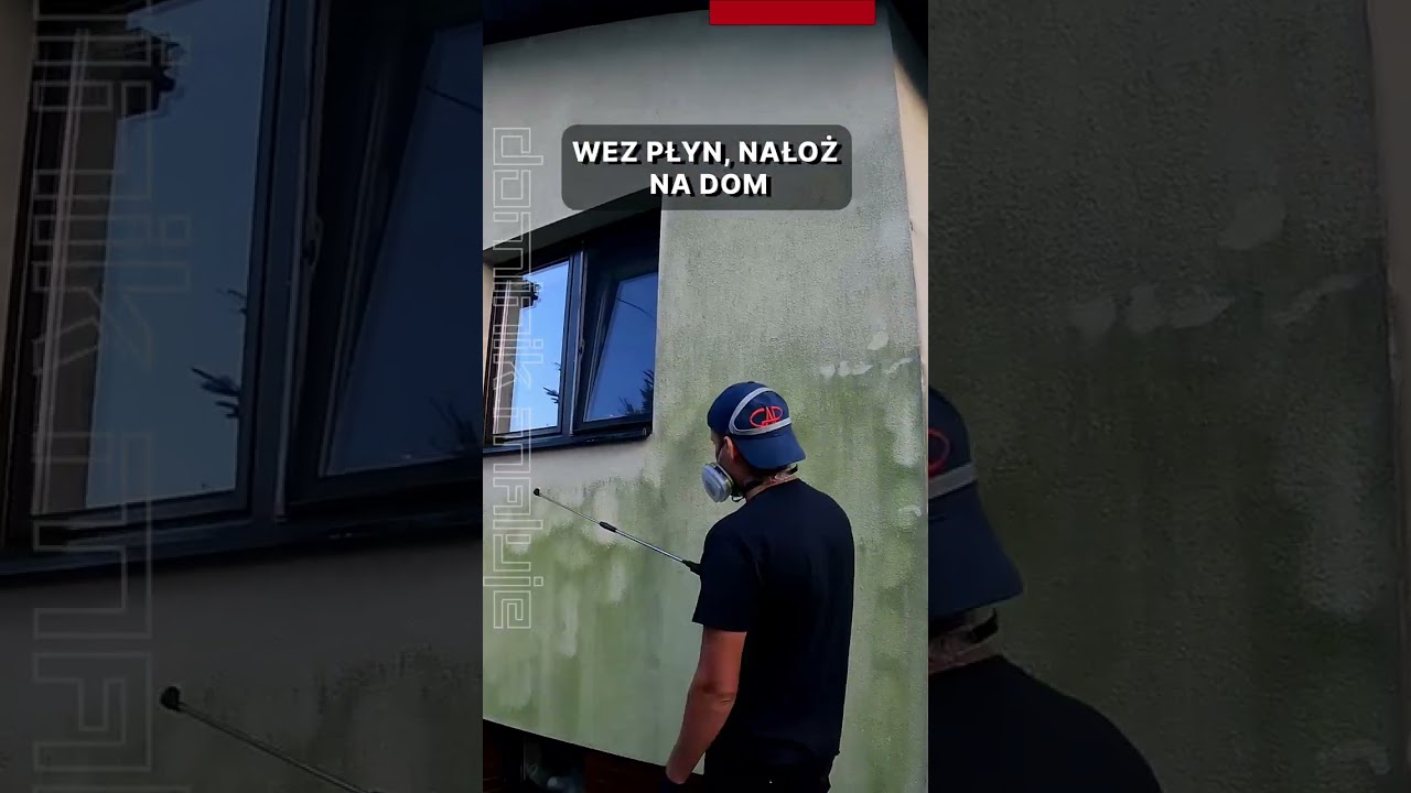 Zielony nalot na elewacji nie ma szans! Dominik Maluje 
