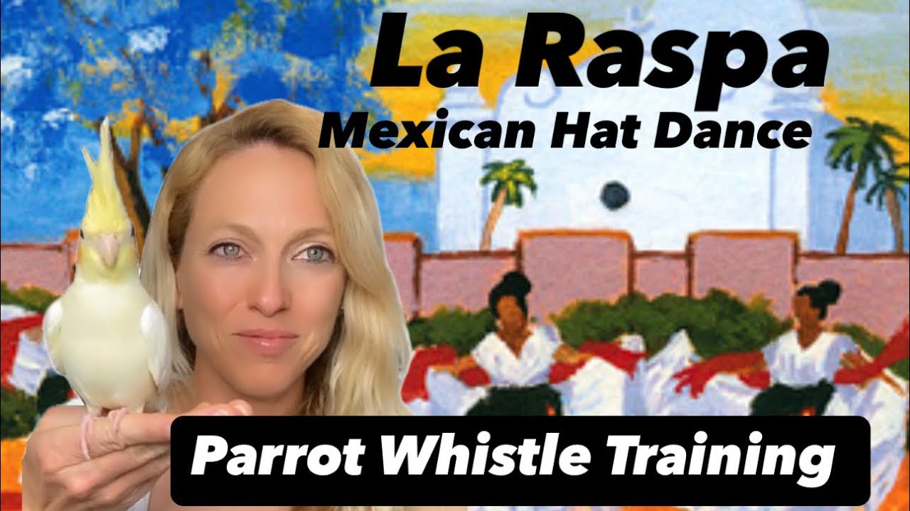 La Raspa - Parrot Whistle Training