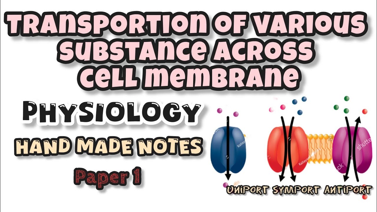 Transportion of various substance across the cell membrane|| Physiology||Bams 1st Proff||Uniport||