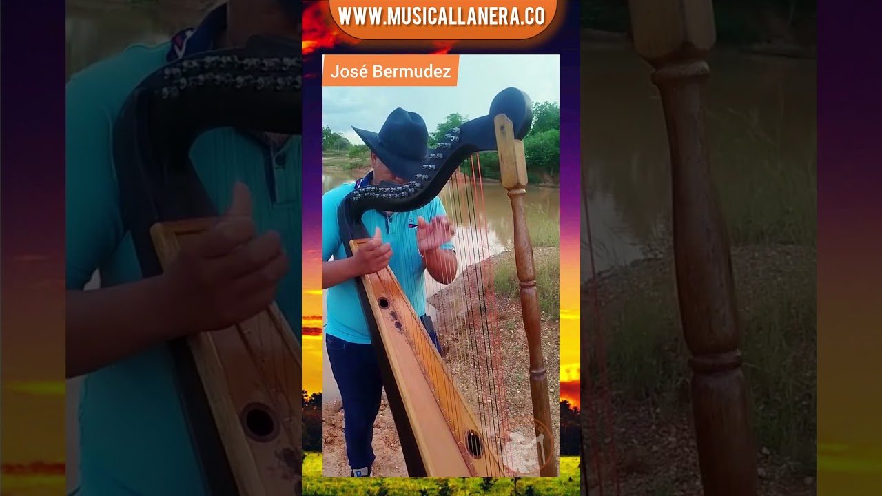 Arpista: Jos&eacute; Bermudez #MusicaLlanera #joropo