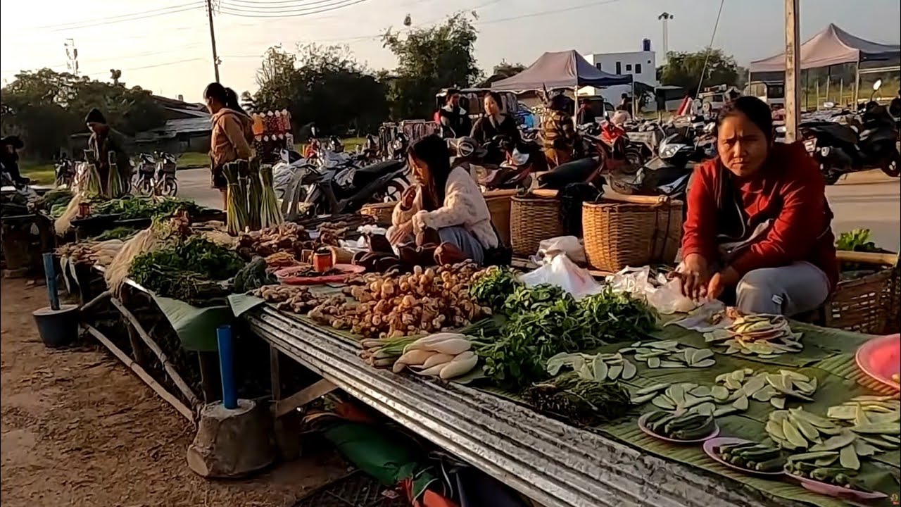 မယ်ယန်စျေး ၵၢတ်ႇမၢၵ်ႇယၢင်းတႃႈၶီႈလဵၵ်း ตลาดเช้าที่หมู่บ้านหมากยาง Morning market in Tachilick Shan.