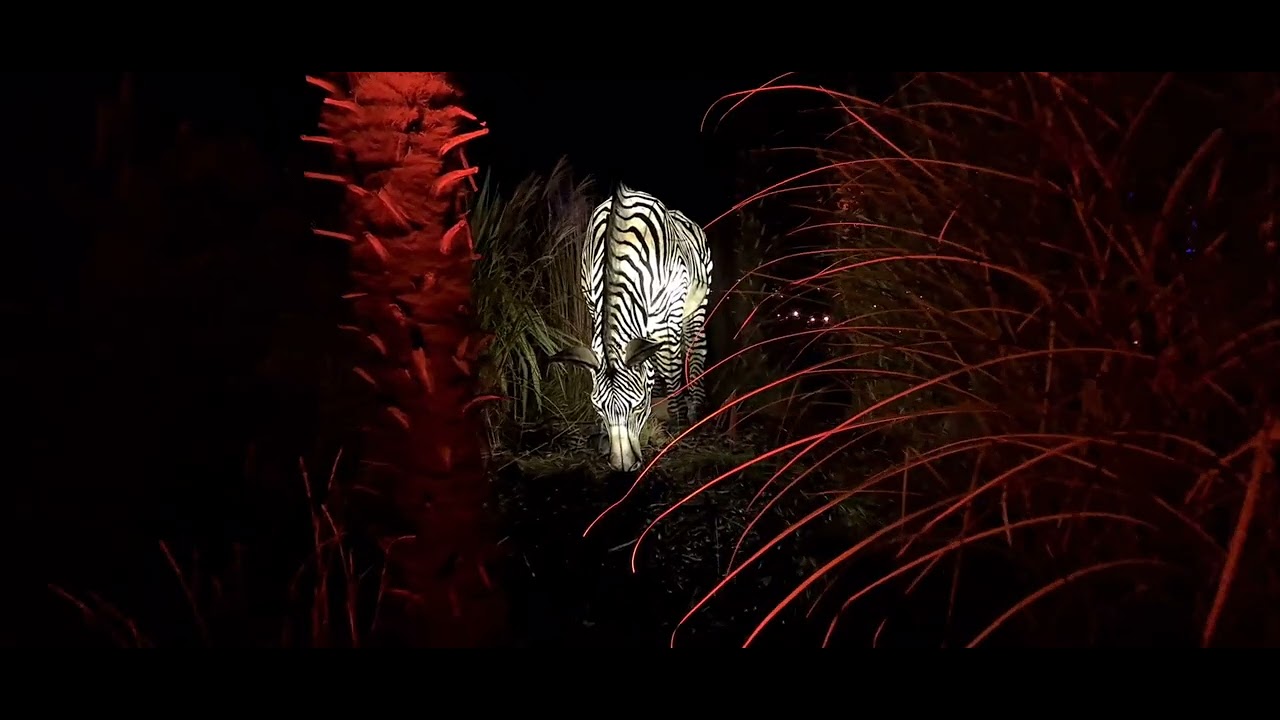 Chester Zoo Lanterns and Light 2023 Tour