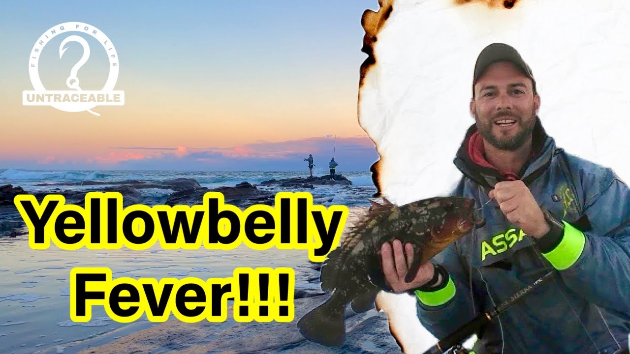 YELLOWBELLY Rockod on almost every cast | Catching one of South Africa&rsquo;s best reef species!