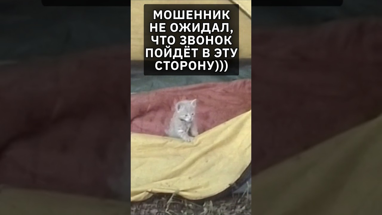 Увёл разговор с мошенником в неожиданную для него сторону! #юмор #прикол #приколы #мошенникизвонят