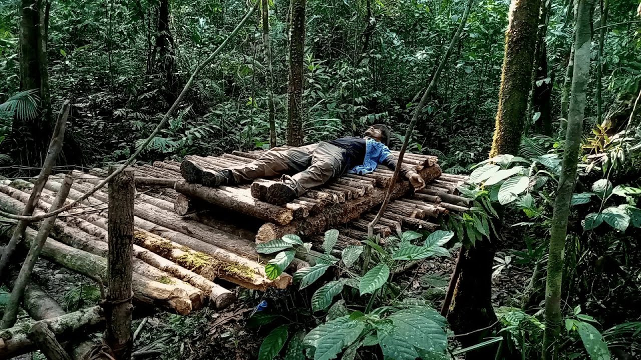 Survival in the Wild, Build a Safe Shelter, Southeast Asian Tropical Forest Food
