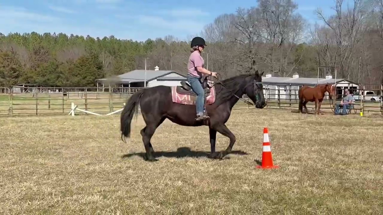 Gypsy and Melissa TL Mounted Feb Challenge