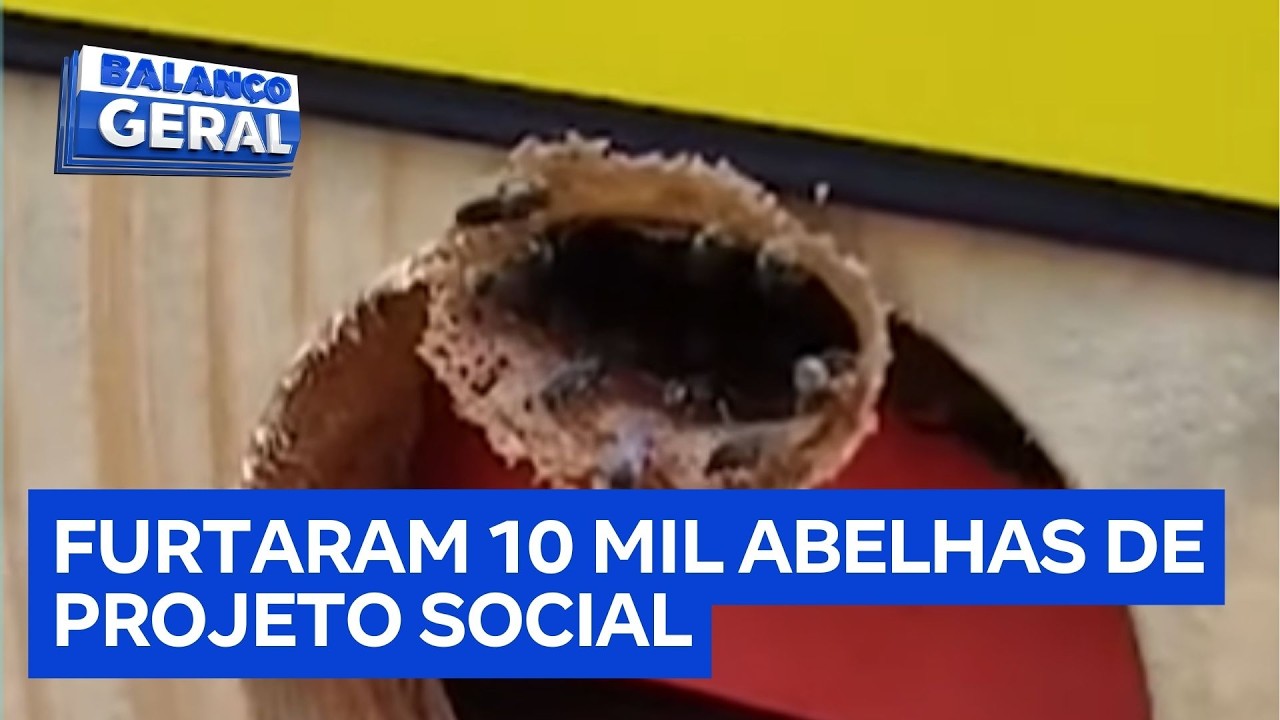 Criminosos furtam 10 mil abelhas de projeto social no Paraná