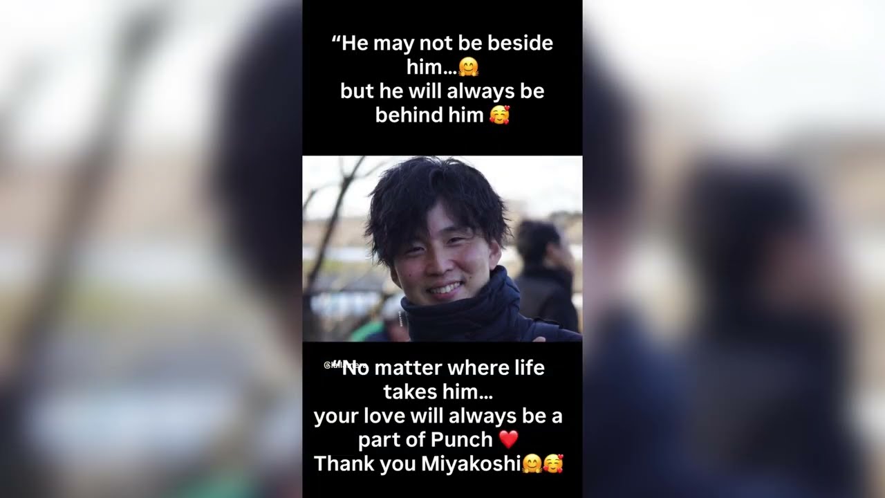 Punch💙Miyakoshi #punch #miyakoshi #love #bond #monkey #punchmonkey #family #friends #zoo ##emotional