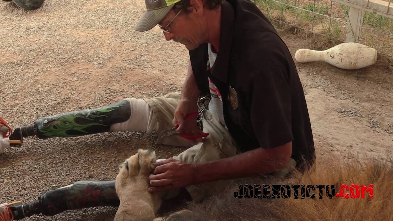Сегодня в парке 18.08.16