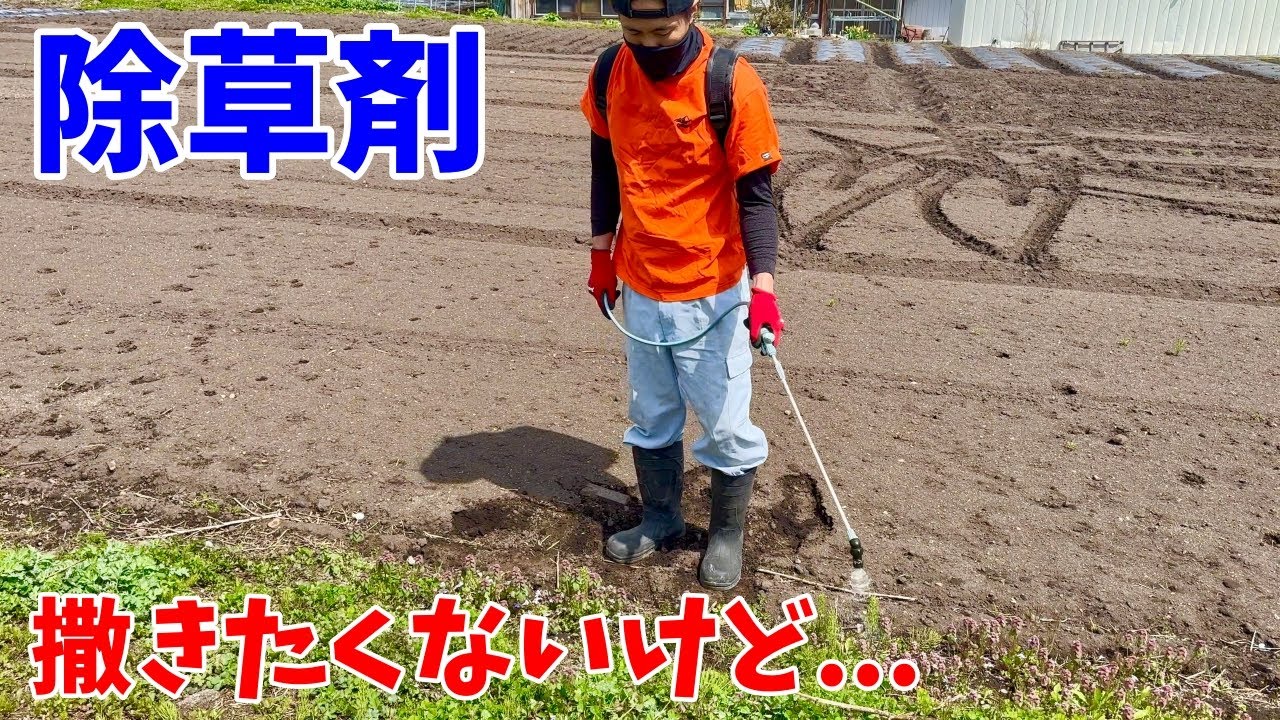 除草剤、本当は撒きたくないけど...　　田舎暮らし　鬼嫁とボクの日常。