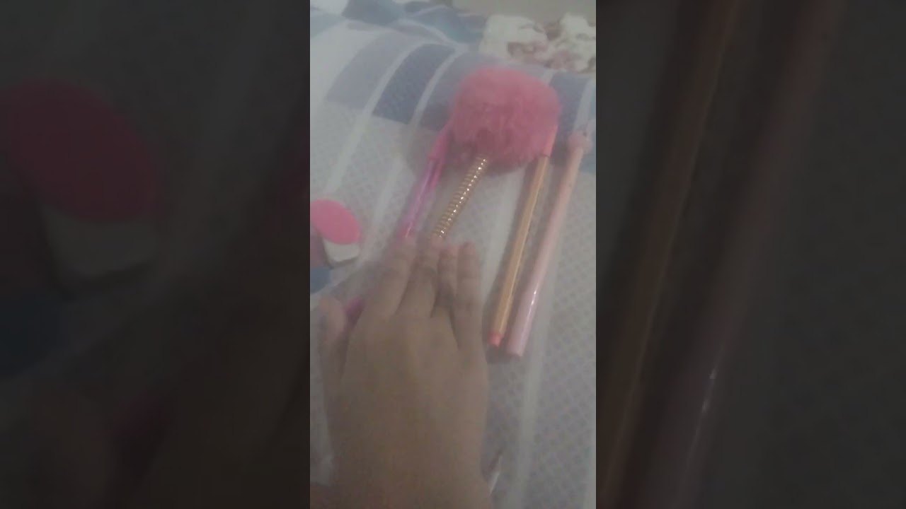 Organizando O Meu Estojo Escolar Prós 2 Semestre Do Meu Colégio 