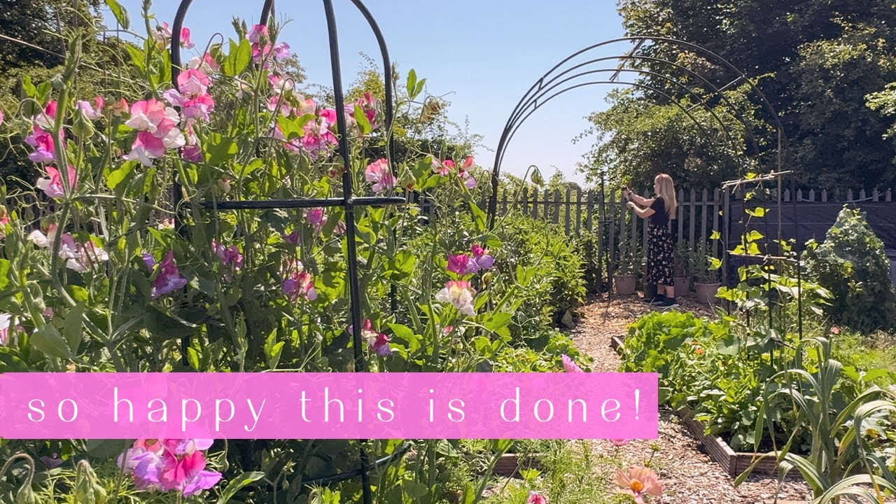 Creating a Corner for my Birds 🥹 Allotment Vlog 🦜Ep.61 🦜