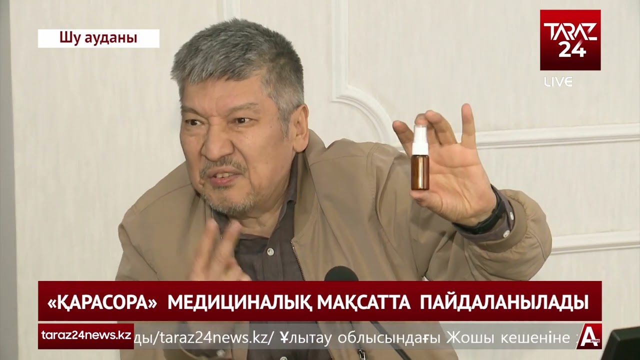 «ҚАРАСОРА»  МЕДИЦИНАЛЫҚ МАҚСАТТА  ПАЙДАЛАНЫЛАДЫ