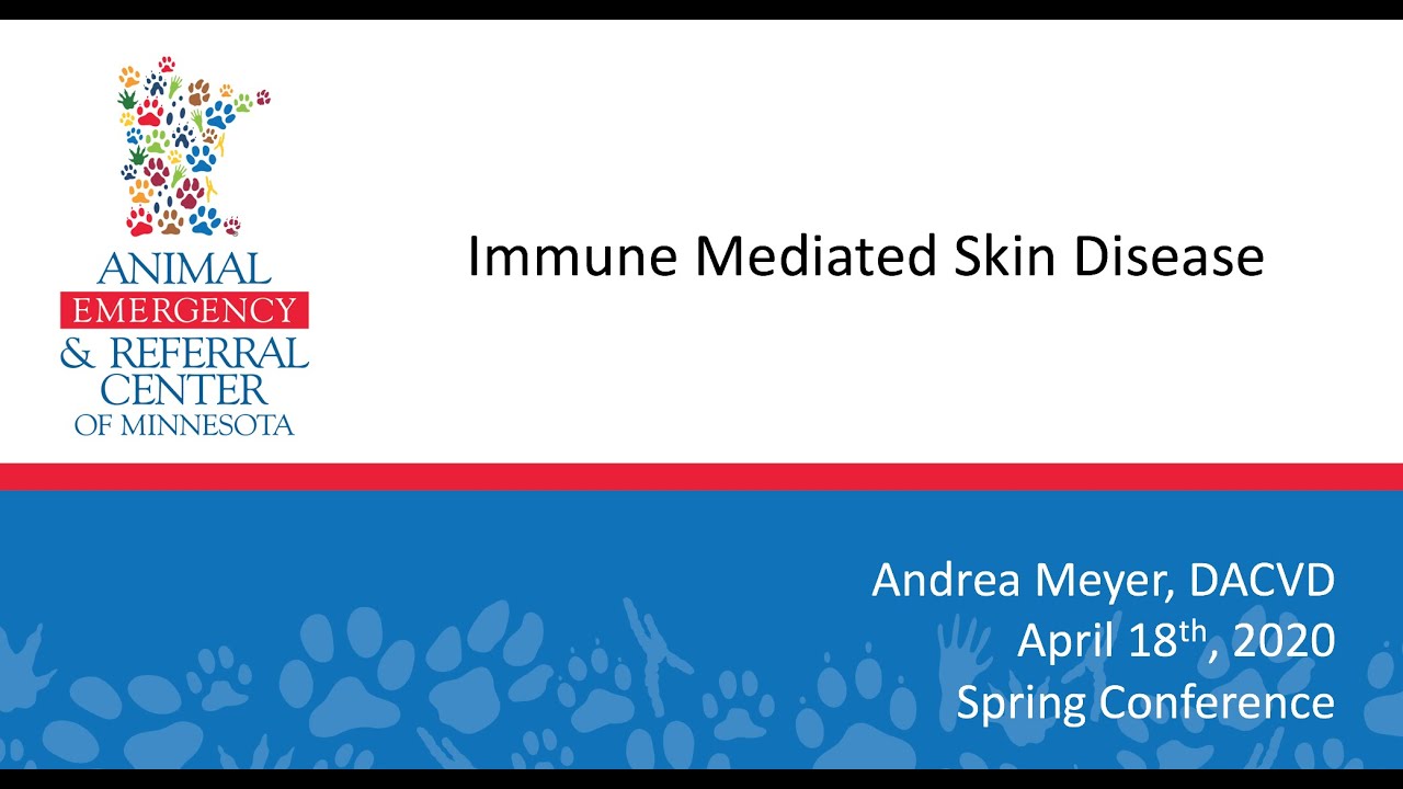 Immune Mediated Skin Diseases in Dogs and Cats