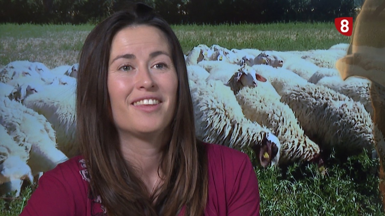 'De mayor quiero ser...' GANADERA