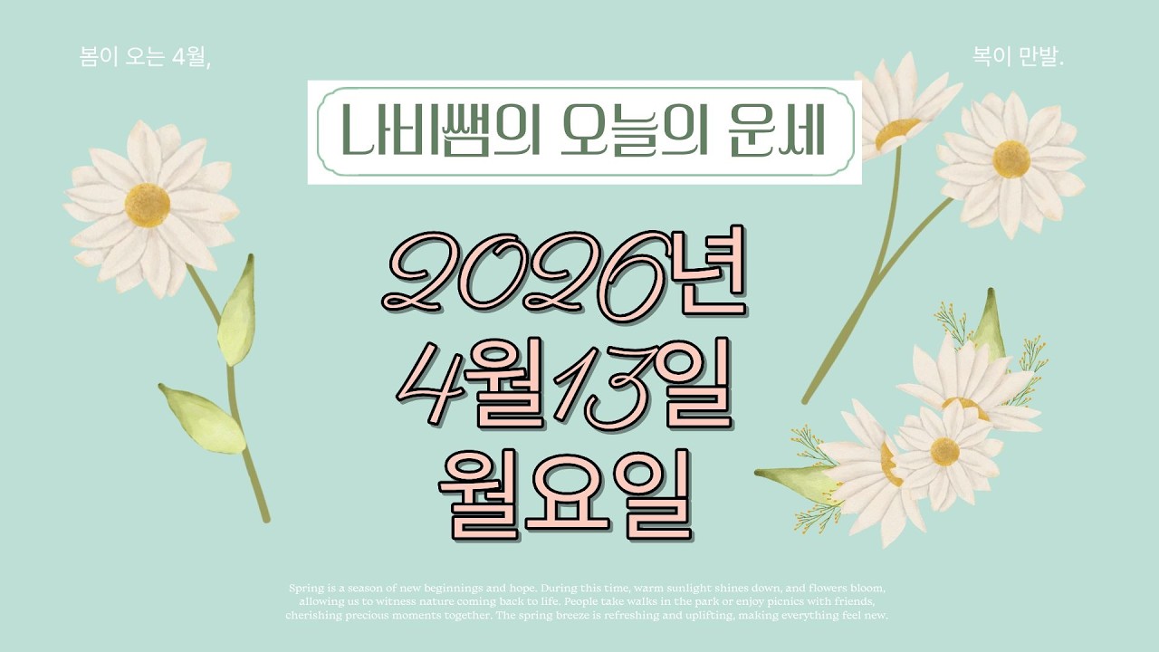 나비쌤의 오늘의 운세 🦋 종합운/연애운/금전운/행운의컬러/띠별운세/타로카드/사주팔자