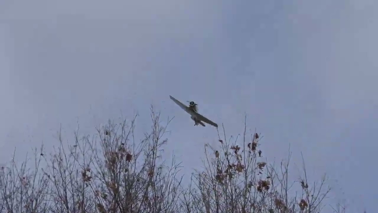 *Epic Sound* North American T-6 Texan flying overhead