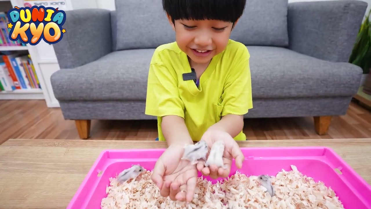 Hamster Kyo Jadi Ada Banyak