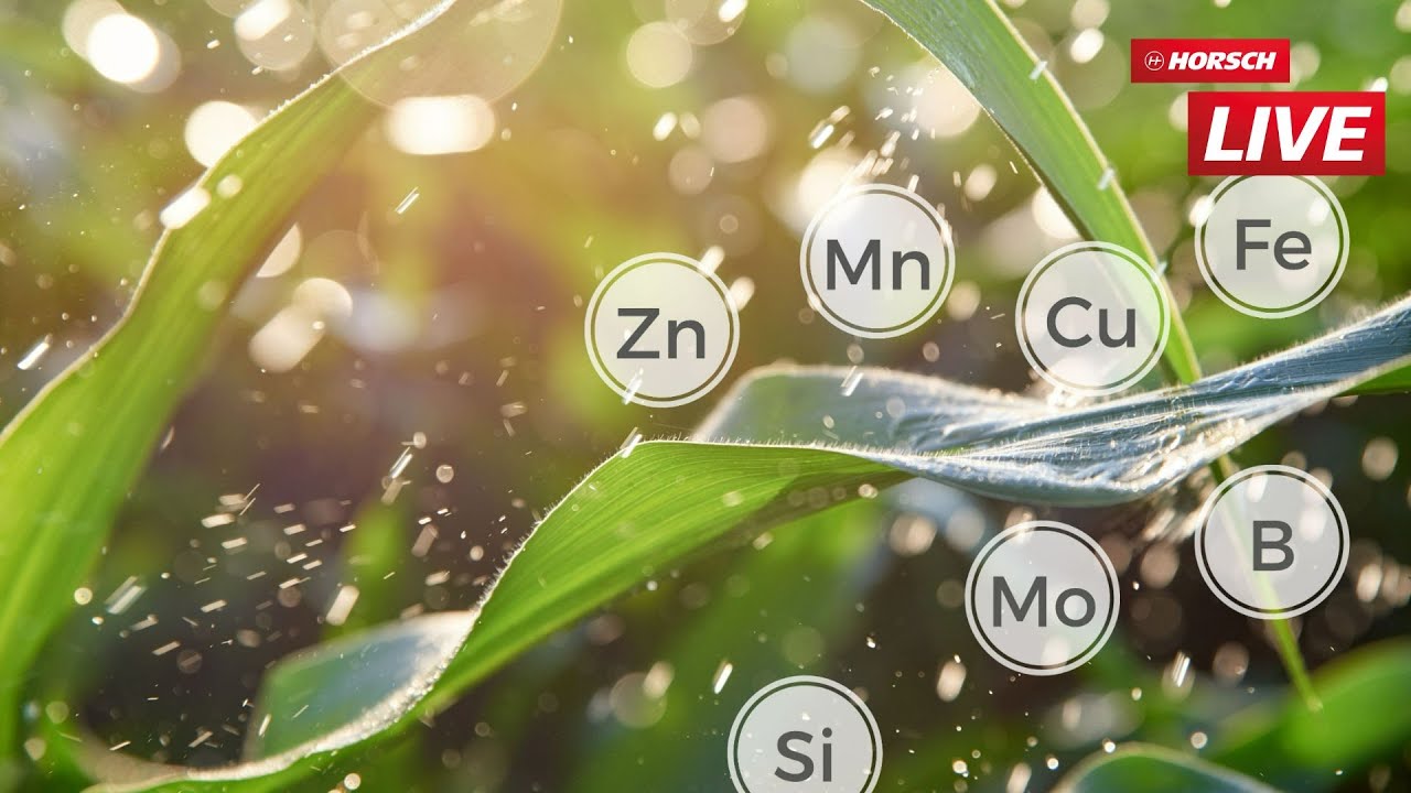 HORSCH Live - Fachvortrag - Blattdüngung, Silizium & Trockenstress: Strategien bei Wetterextremen
