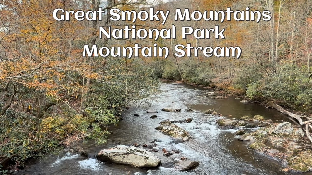 Great Smoky Mountains National Park Mountain Stream