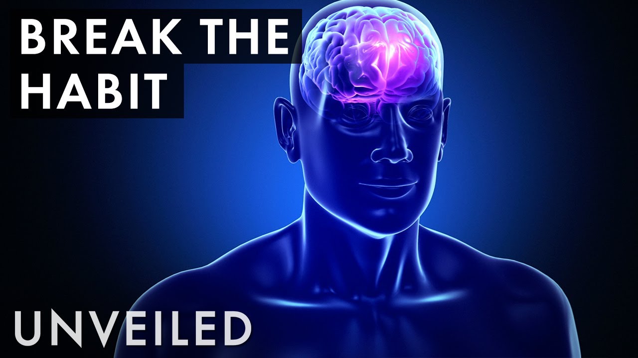 Why Do Humans Get Addicted To Things?  | Unveiled