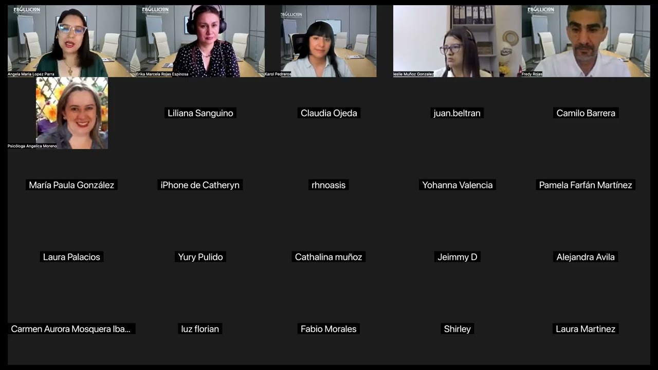 Webinar Ley 2460 de Salud Mental