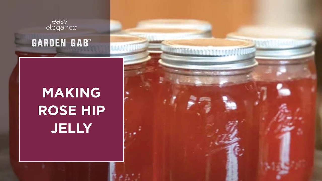 Making Rose Hip Jelly