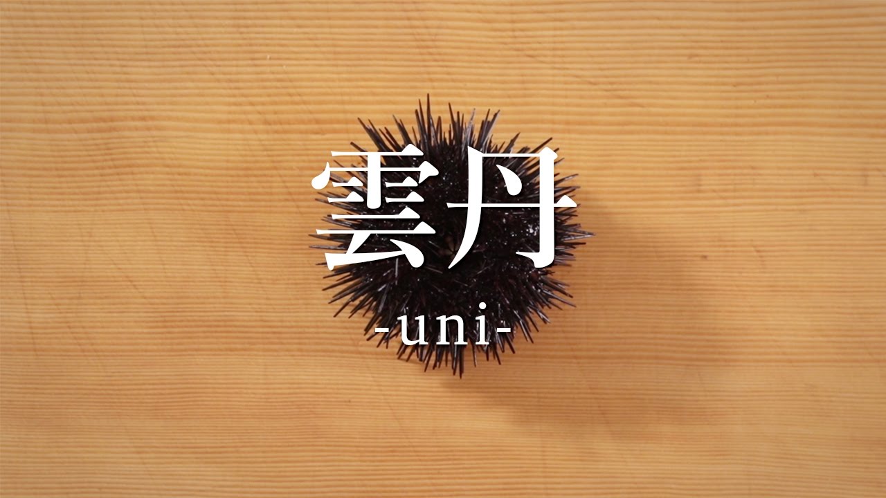 雲丹（うに）のさばき方 - How to filet Sea Urchin -｜日本さばけるプロジェクト（海と日本プロジェクト）