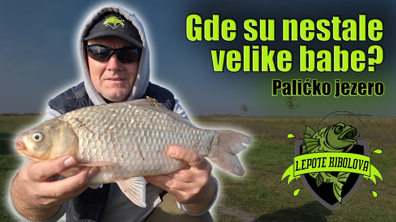 Potraga za krupnom babuškom na method feeder | Palićko jezero | Lepote Ribolova ep. 48