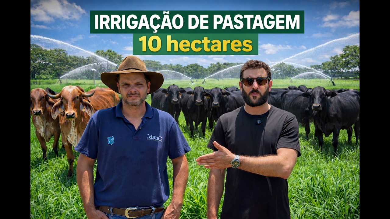 IRRIGAÇÃO DE PASTAGEM - PECUÁRIA LEITEIRA, GIR E GIROLANDO