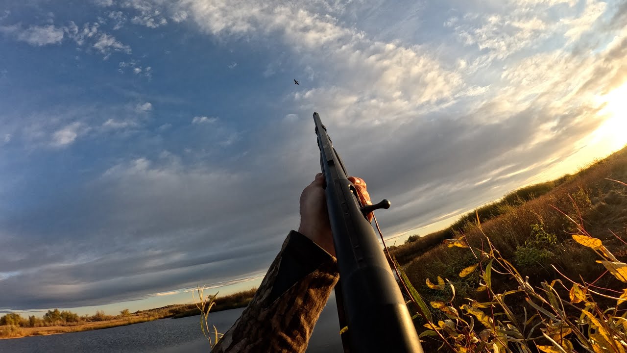 Washington state duck hunting with my dog Kona