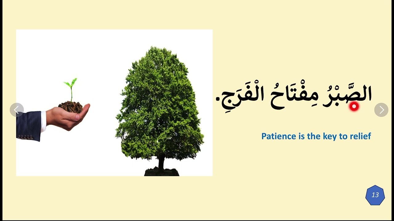 Learning Arabic proverbs: wisdom for life