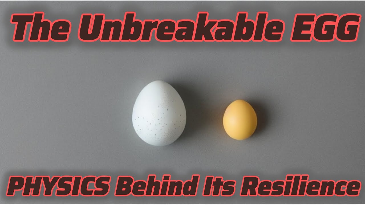 BREAKING the EGG: The Fascinating PHYSICS Behind Unbreakable EGGS🥚 #trending #youtube #egg #youtuber
