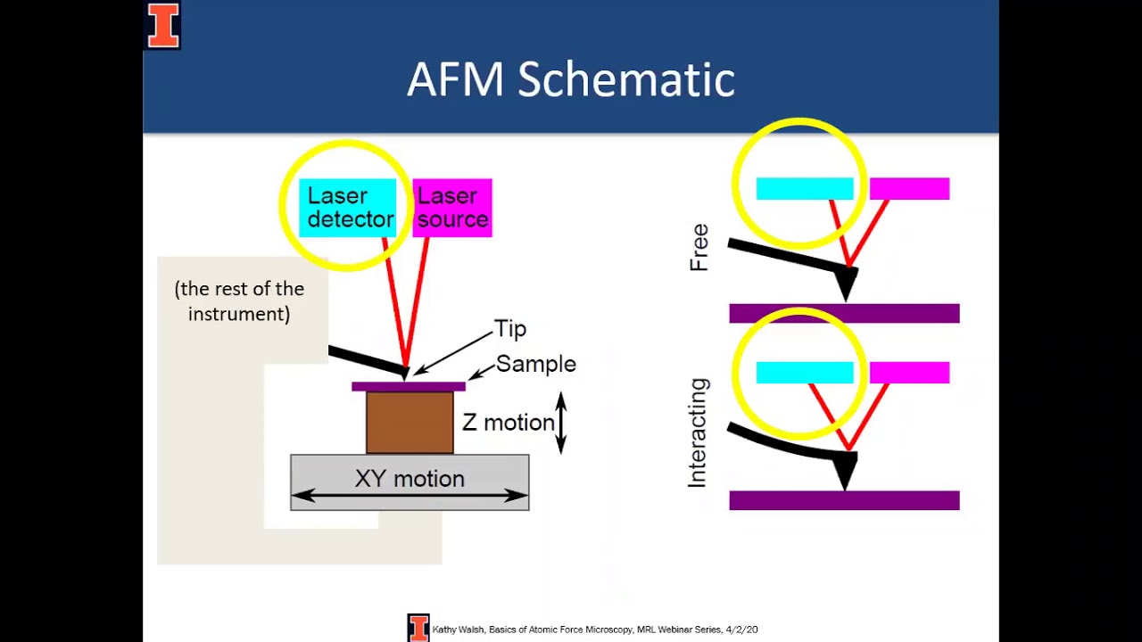 Basics of Atomic Force Microscopy KWalsh MRL Webinar Series