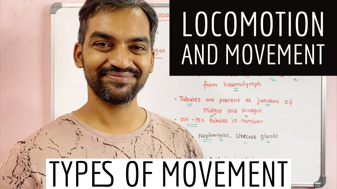 Locomotion and movement | Types of movement