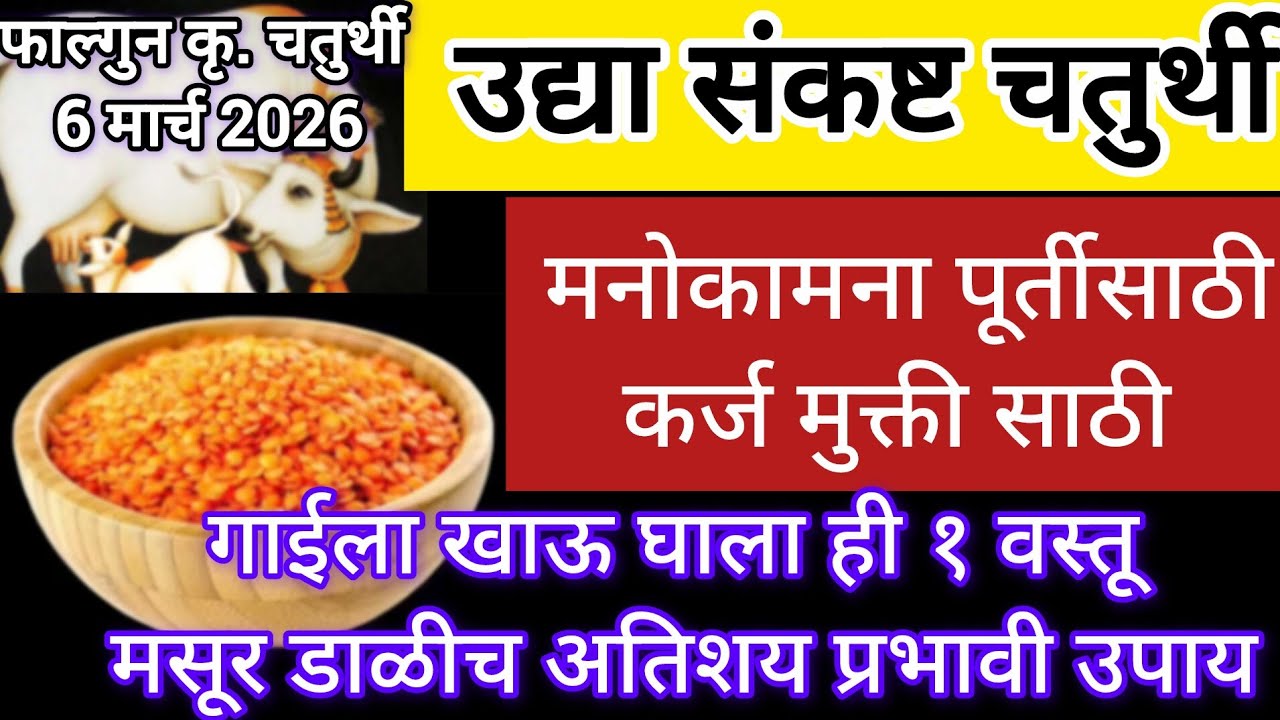 संकष्ट चतुर्थीला कर्ज मुक्ती साठी कोणता उपाय करावा #संकष्टचतुर्थी मनोकामना पूर्तीसाठी #upay #चतुर्थी
