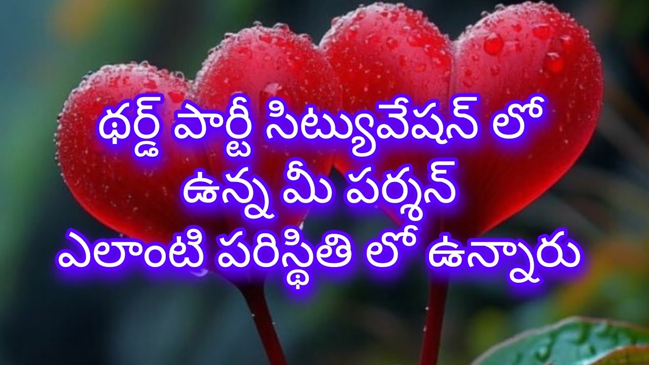 💔🧚థర్డ్ పార్టీ సిట్యువేషన్ లో ఉన్న మీ పర్శన్ ఎలాంటి పరిస్థితి లో ఉన్నారు | Tarot reading telugu 
