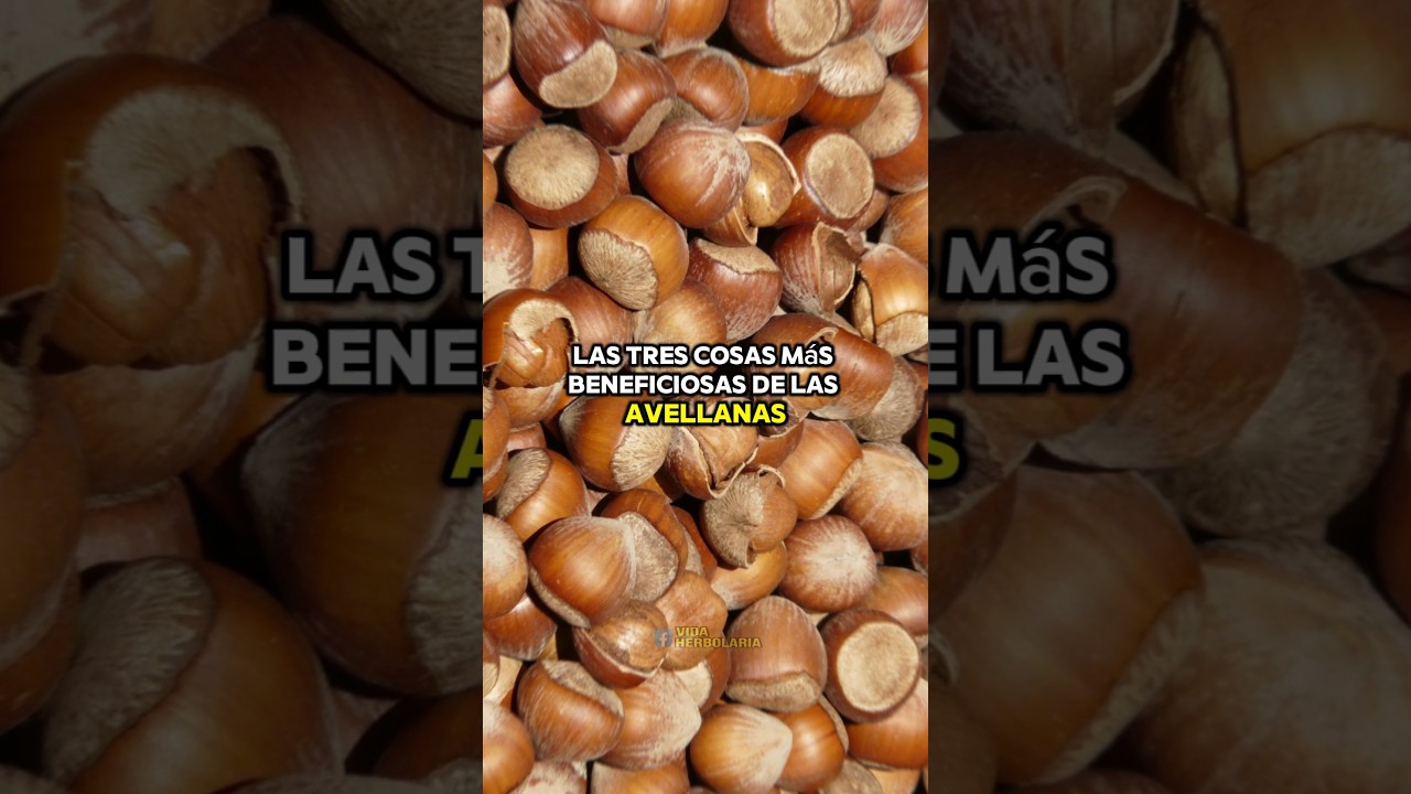 3 Beneficios de las Avellanas #vidasaludable #natural
