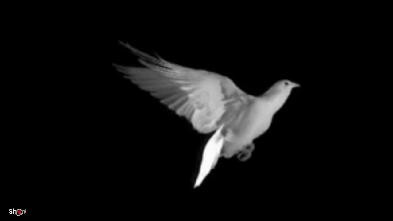 I Heard You Were Going Away by Ted Mills #BlueMagic