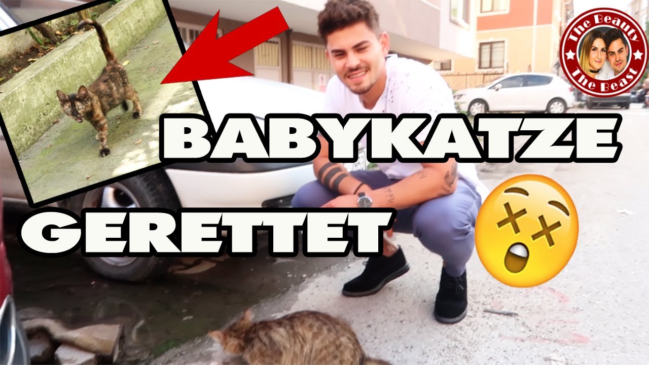 BABYKATZE VOR DEM TOD GERETTET !! | daily VLOG TBATB