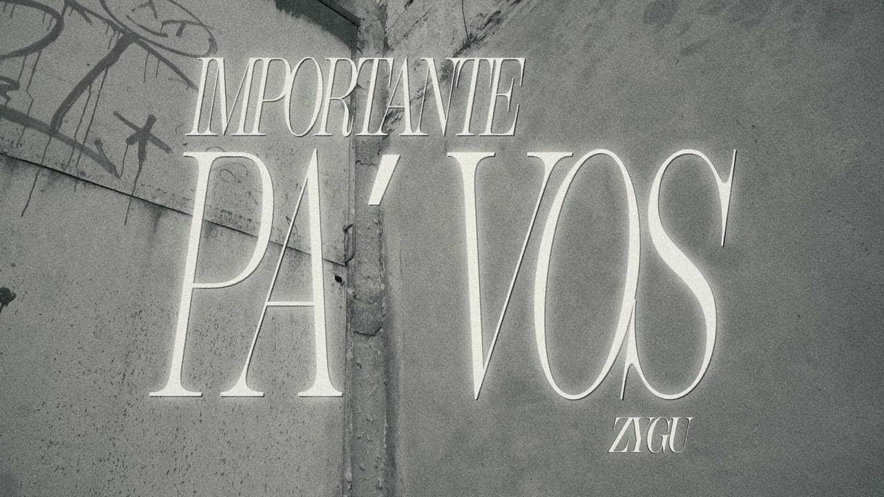 ZYGU - IMPORTANTE PA VOS