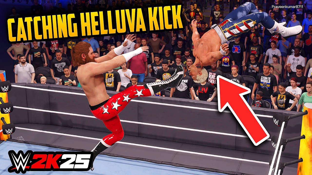 WWE 2K25: 16 New Catching Finishers! (WWE 2K25 Concept)