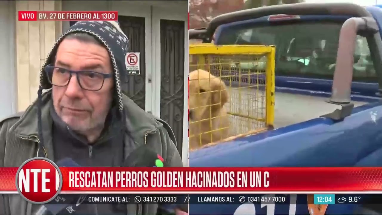 Rescatan perros de un criadero clandestino