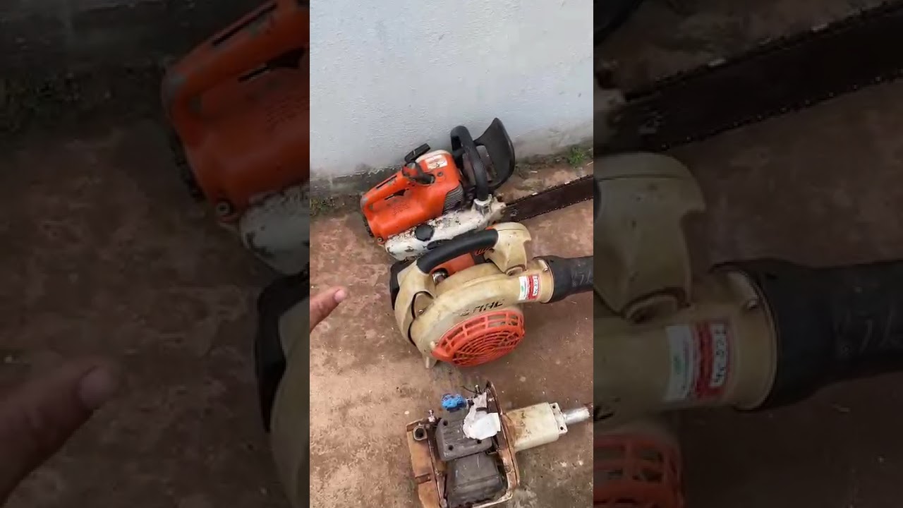 consultoria para jardineiro iniciante, consultoria para empresas whatsapp 17 992738151 Milton 