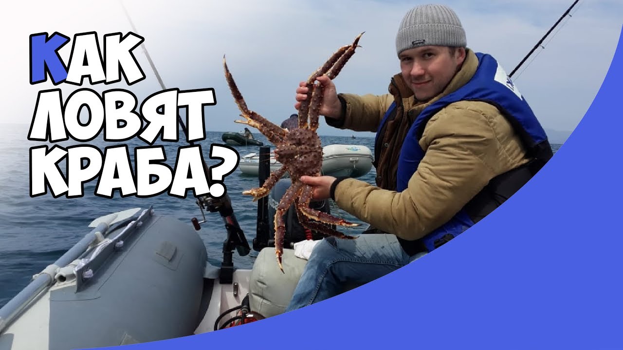 🦀Как ловят краба? | Репортаж из Владивостока