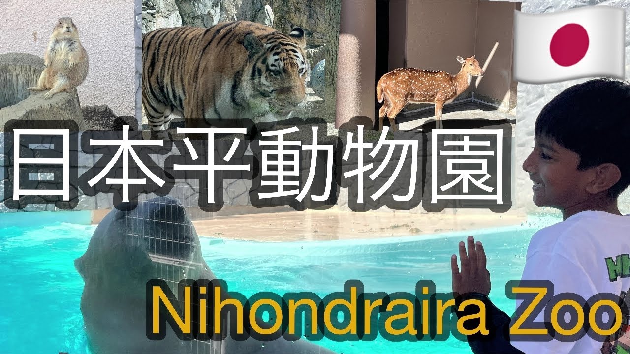Nihondraira Zoo # 日本平動物園 # Shizuoka # සත්තුවත්ත # Japan 🇯🇵