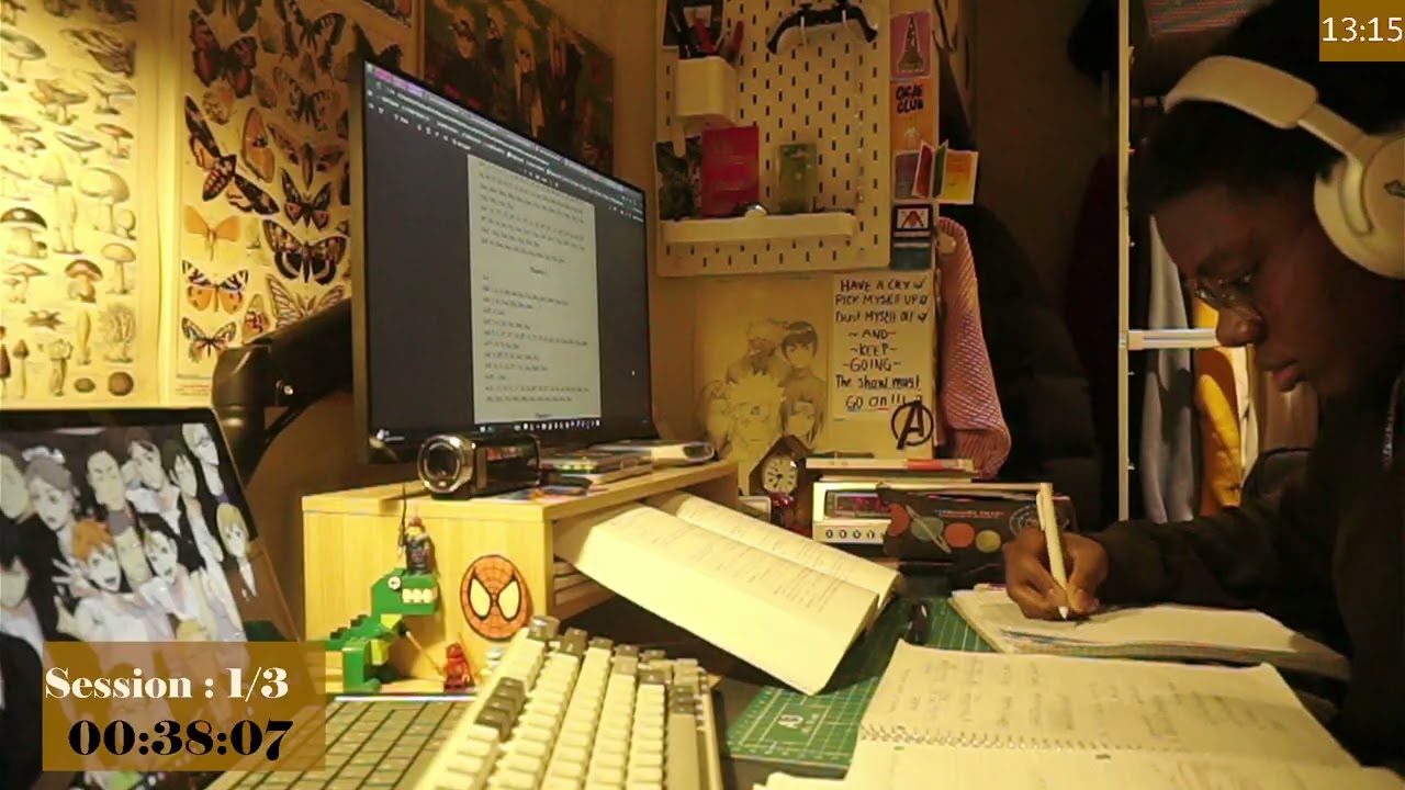 study with me 3hrs | 50/10 pomodoro and fireplace sounds