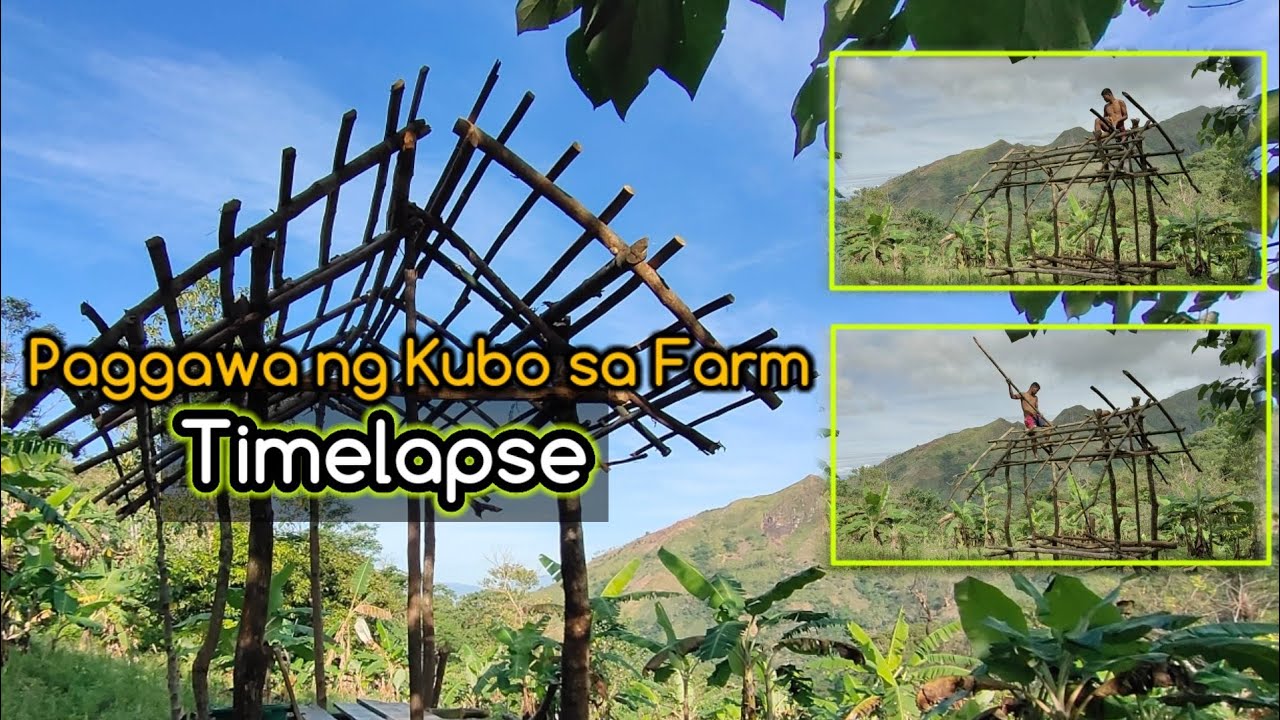 Paggawa ng Kubo sa Farm | Simpling Pamumuhay sa Bukid |Sustainable Organic Farming | Quezon Bukidnon