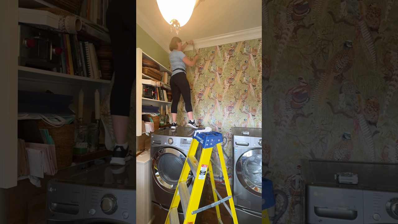 🪜🪜🪜#wallpaper #wallpaperinstallation #homedecor #hangwallpaper #laundry