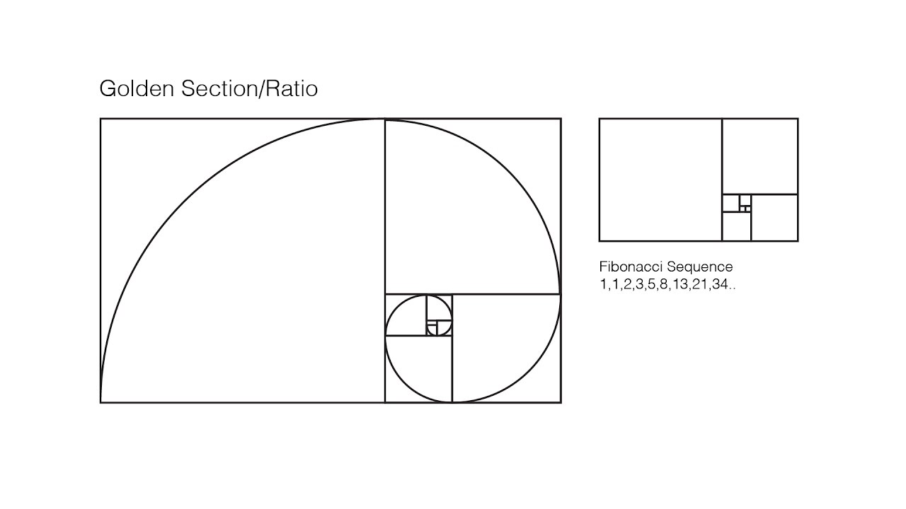 How To: Draw Golden Rectangle Fibonacci Sequence | Render the golden ratio/mean in Adobe Illustrator